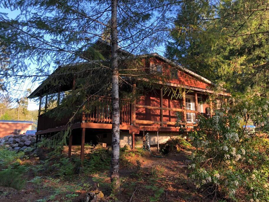 The Cabin In Packwood Εξωτερικό φωτογραφία