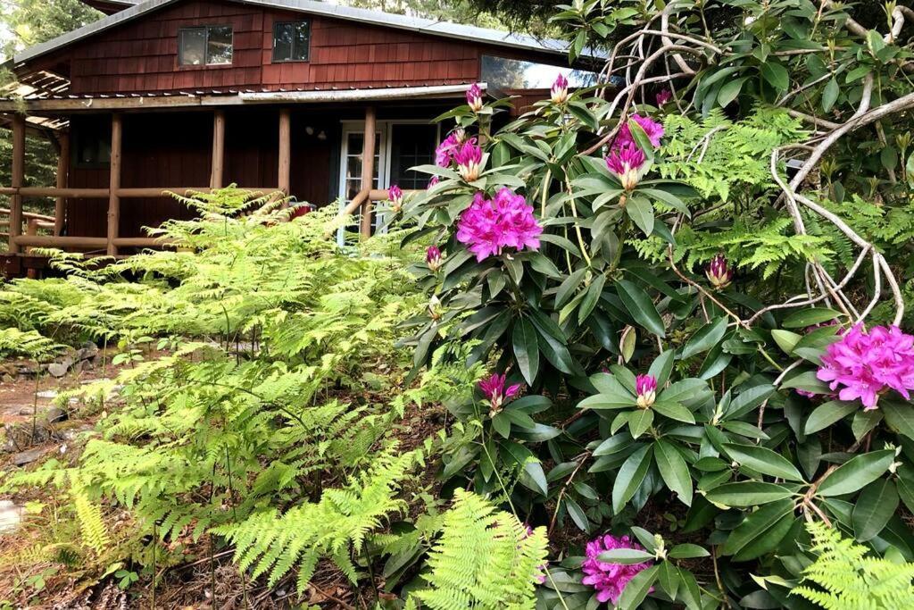 The Cabin In Packwood Εξωτερικό φωτογραφία